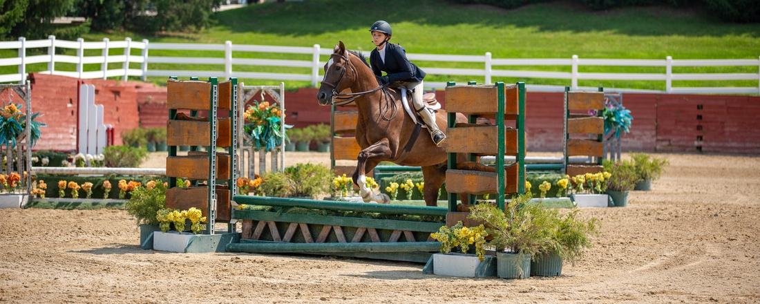Equestrian show jumping